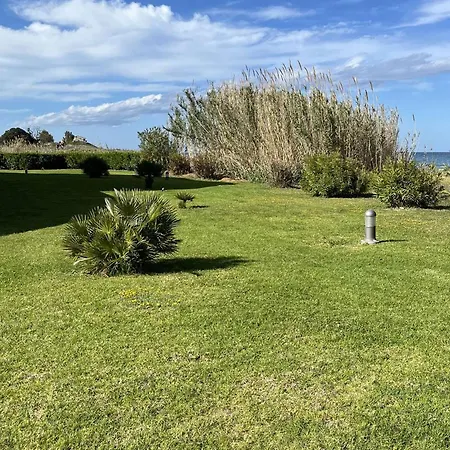 Apartment Studio A Moriani-plage Avec Piscine Et Climatisation, Acces Direct Plage - Fr-1-650-19 *